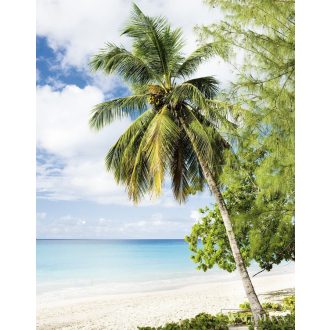   Marburg Smart Art Easy 47269 Natúra zöld pálma mintás digitális panel