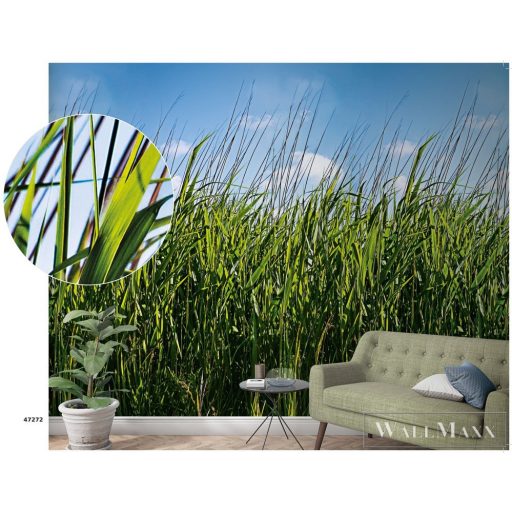 Marburg Smart Art Easy 47272 Natúra zöld nád mintás digitális panel