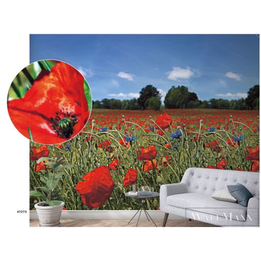 Marburg Smart Art Easy 47273 Natúra piros pipacs mintás digitális panel