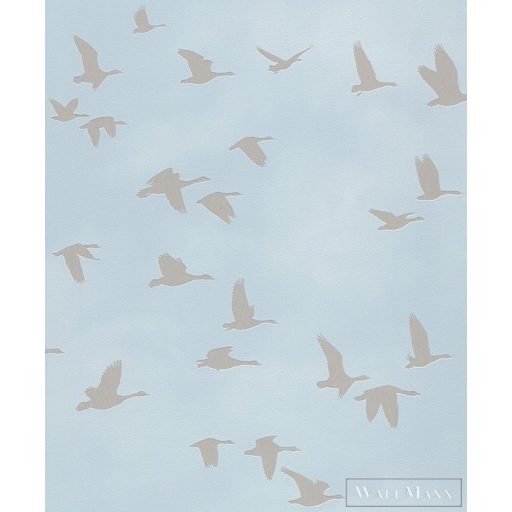 Rasch Kids and teens II. 2018 Nr:503357