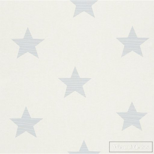 Rasch Kids and teens II. 2018 Nr:503357