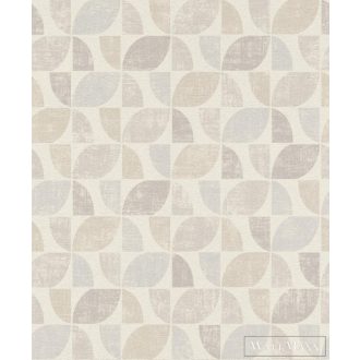 Rasch geometriai minta 519808