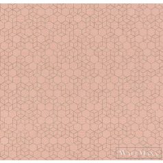 RASCH HIGHLANDS 2022 550344 DESIGN TAPÉTA KUBISTA