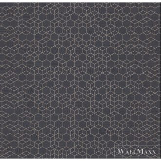   RASCH HIGHLANDS 2022 550375 DESIGN TAPÉTA 3D HATÁSÚ KUBISTA ARANY FEKETE 1darab