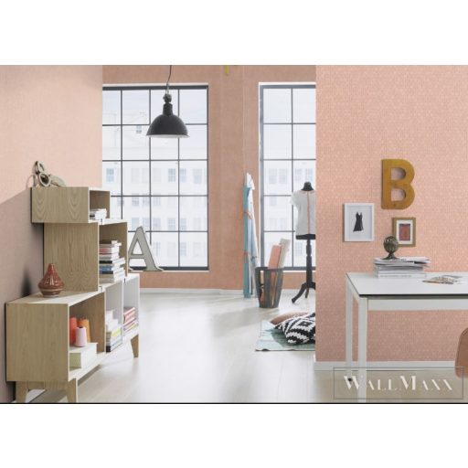 RASCH HIGHLANDS 2022 550443 DESIGN TAPÉTA