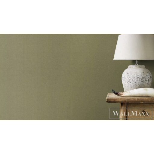 RASCH BARBARA Home Collection III 560183 zöld Egyszínű Modern vlies tapéta