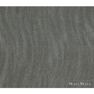 Marburg Evolution 56313