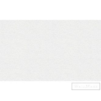   AS CREATION MeisterVlies Create 57351-3 fehér gipsz mintás festhető tapéta