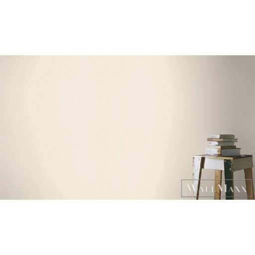 Rasch passepartout tapéta 605938