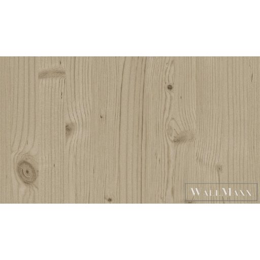 Rasch Passepartout 2019 Nr:606256