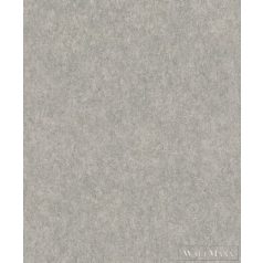 RASCH LINARES 2023 617191 DESIGN TAPÉTA SZÜRKE