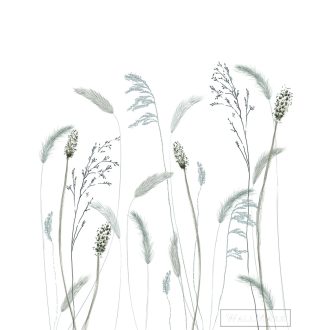   MARBURG Crush Motion 63459 halvány bézs gyapot mintás Gyűrött digitális panel