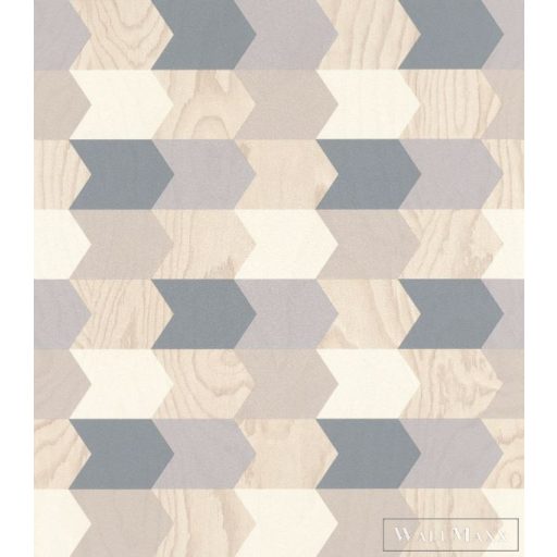 RASCH SANSA 2021 638226 DESIGN TAPÉTA