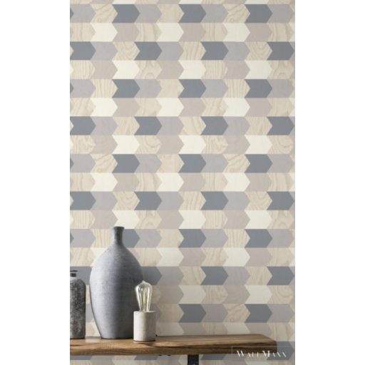 RASCH SANSA 2021 638226 DESIGN TAPÉTA