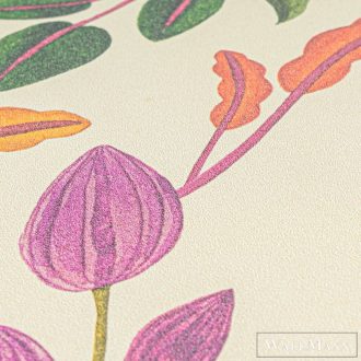   AS CREATION Anna dAndrea 78211-1 krémszínű virágos modern,elegáns tapéta