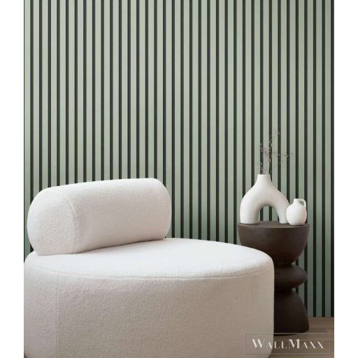 AS CREATION 50 Jahre AS 78628-2 zöld Csíkos Modern,Elegáns tapéta