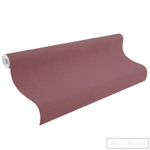 RASCH CUISINE 2021 800579 PIROS