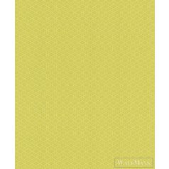 Rasch 800920