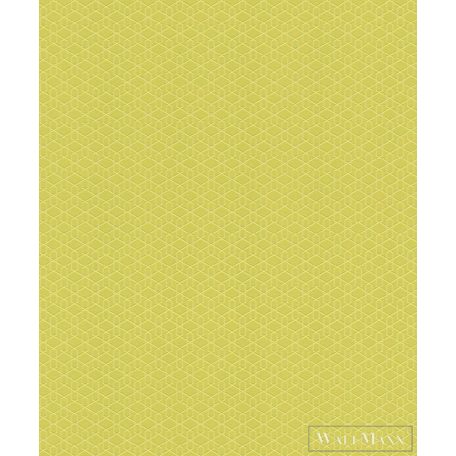 Rasch 800920