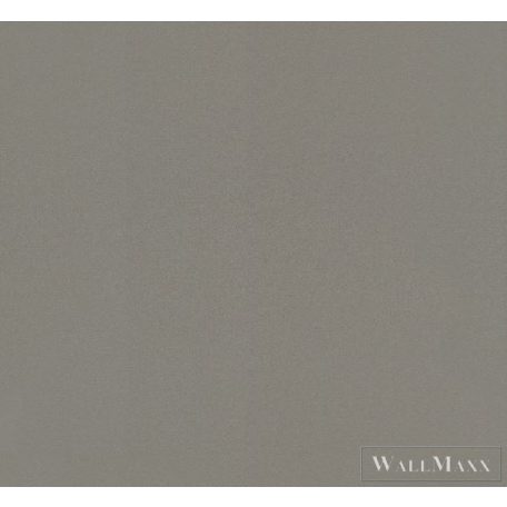 RASCH SANSA 2021 806816 DESIGN TAPÉTA Barna