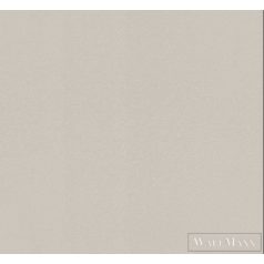 RASCH SANSA 2021 806823 DESIGN TAPÉTA szürke