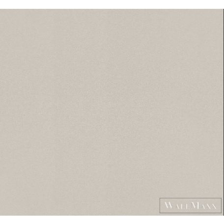 RASCH SANSA 2021 806823 DESIGN TAPÉTA szürke