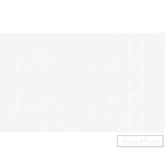   AS CREATION MeisterVlies Create 93241-9 fehér struktúrált festhető tapéta