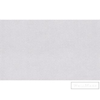   AS CREATION MeisterVlies Create 93466-1 fehér retro mintás festhető tapéta