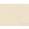RASCH MAXIMUM XVI 2022 960778 beige TAPÉTA