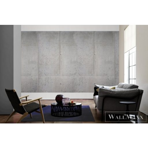 AS CREATION Beton 2 DD105863 szürke beton mintás modern digitális panel
