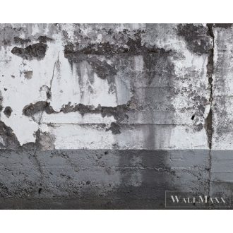   AS CREATION Beton 2 DD108705 sötét beton mintás modern digitális panel