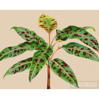   AS CREATION Walls by Patel 3 DD121960 bézs leaf garden 4 digitális panel