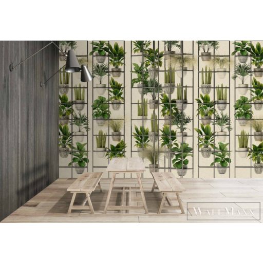 AS CREATION Walls by Patel 3 DD122088 bézs PLANT SHOP 2 digitális panel
