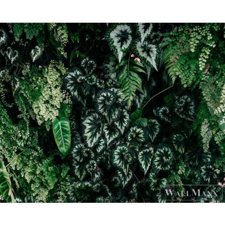 AS CREATION Walls by Patel 3 DD122096 zöld DEEP GREEN 2 digitális panel