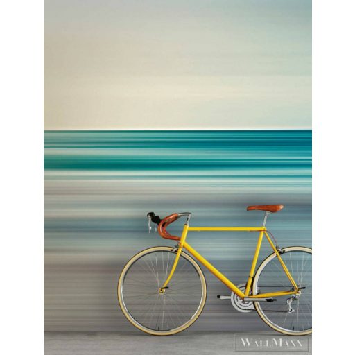 AS CREATION Walls by Patel 3 DD122112 kék HORIZON 1 digitális panel