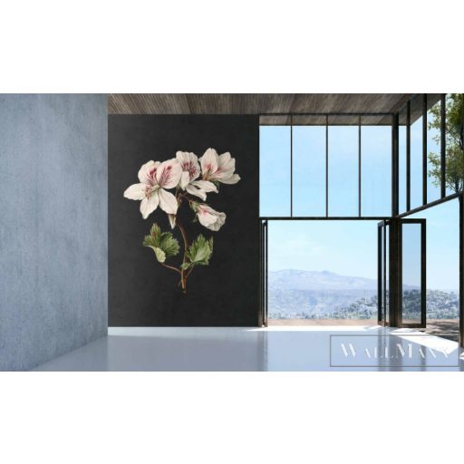 AS CREATION Walls by Patel 3 DD122192 fekete MIDNIGHTGARDE1 digitális panel