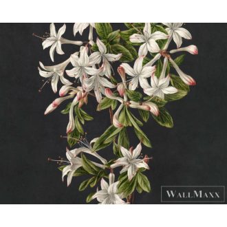   AS CREATION Walls by Patel 3 DD122196 fekete MIDNIGHTGARDE2 digitális panel