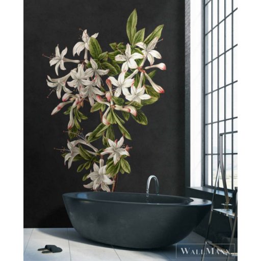 AS CREATION Walls by Patel 3 DD122196 fekete MIDNIGHTGARDE2 digitális panel