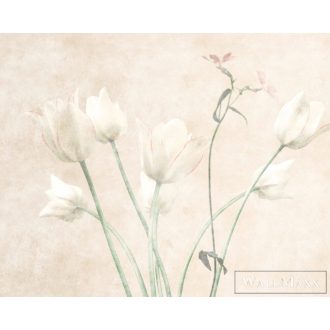   AS CREATION Walls by Patel 3 DD122396 bézs MORNING ROOM 3 digitális panel