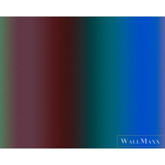   AS CREATION Walls by Patel 3 DD122608 kék OVERTHERAINBO2 digitális panel