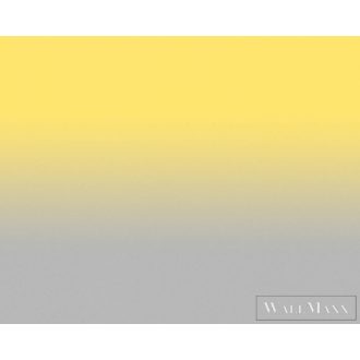   AS CREATION Walls by Patel 3 DD122660 szürke COLOUR STUDIO1 digitális panel