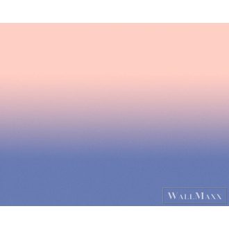   AS CREATION Walls by Patel 3 DD122664 rózsaszín COLOUR STUDIO2 digitális panel