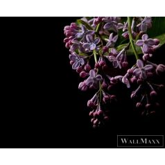   AS CREATION DesignWalls 2 DD123465 sötét virág mintás fotografikus digitális panel