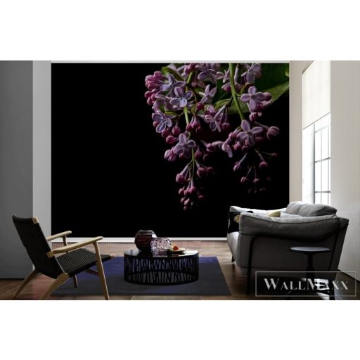 AS CREATION DesignWalls 2 DD123465 sötét virág mintás fotografikus digitális panel