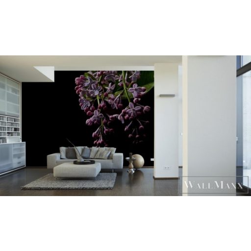 AS CREATION DesignWalls 2 DD123465 sötét virág mintás fotografikus digitális panel
