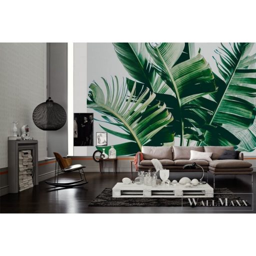 AS CREATION DesignWalls 2 DD123475 zöld filodendron mintás grafikus digitális panel
