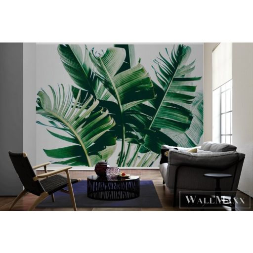 AS CREATION DesignWalls 2 DD123475 zöld filodendron mintás grafikus digitális panel