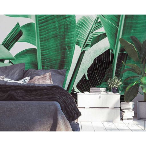 AS CREATION DesignWalls 2 DD123476 zöld filodendron mintás grafikus digitális panel