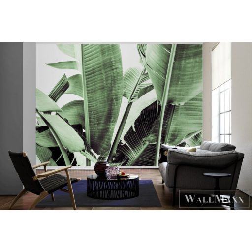 AS CREATION DesignWalls 2 DD123476 zöld filodendron mintás grafikus digitális panel