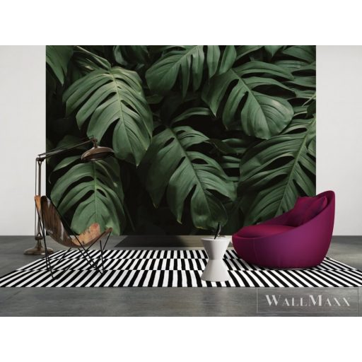AS CREATION DesignWalls 2 DD123485 sötét filodendron mintás fotografikus digitális panel